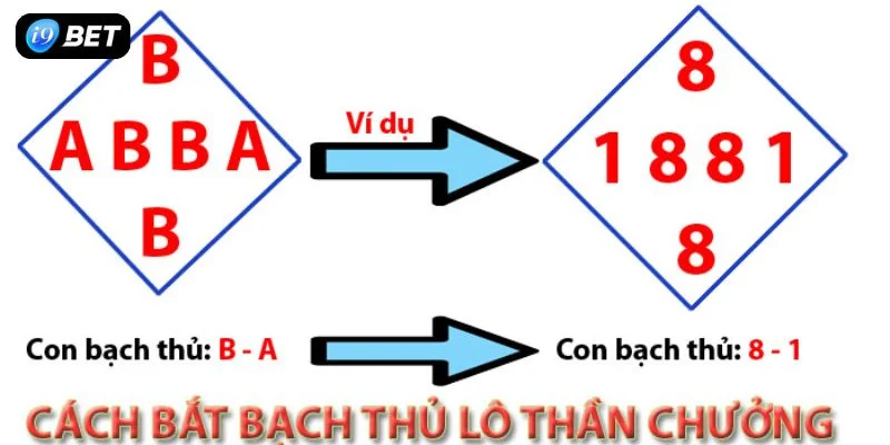 bạch thủ lô